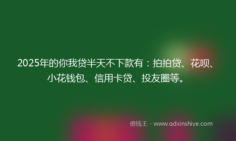 2025年的你我贷半天不下款有：拍拍贷、花呗、小花钱包、信用卡贷、投友圈等。