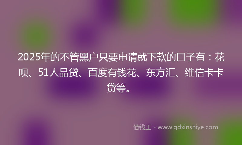 2025年的不管黑户只要申请就下款的口子有：花呗、51人品贷、百度有钱花、东方汇、维信卡卡贷等。
