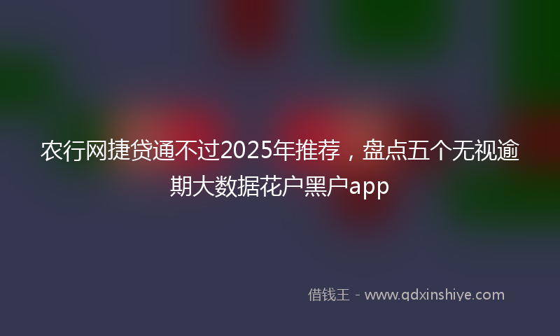 农行网捷贷通不过2025年推荐，盘点五个无视逾期大数据花户黑户app
