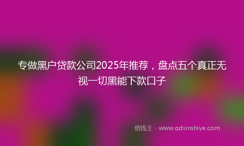 专做黑户贷款公司2025年推荐，盘点五个真正无视一切黑能下款口子