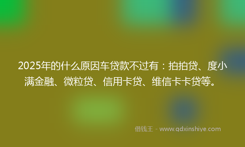 2025年的什么原因车贷款不过有：拍拍贷、度小满金融、微粒贷、信用卡贷、维信卡卡贷等。