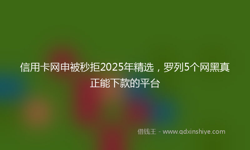 信用卡网申被秒拒2025年精选，罗列5个网黑真正能下款的平台