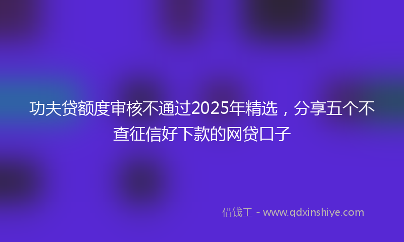 功夫贷额度审核不通过2025年精选，分享五个不查征信好下款的网贷口子