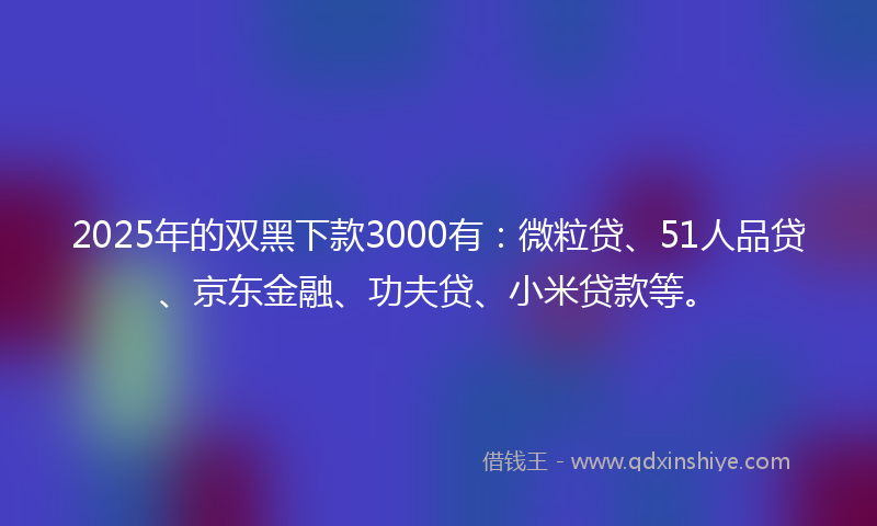 2025年的双黑下款3000有：微粒贷、51人品贷、京东金融、功夫贷、小米贷款等。
