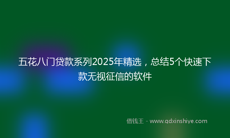 五花八门贷款系列2025年精选,总结5个快速下款无视征信的软件