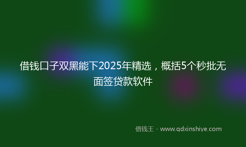 借钱口子双黑能下2025年精选，概括5个秒批无面签贷款软件