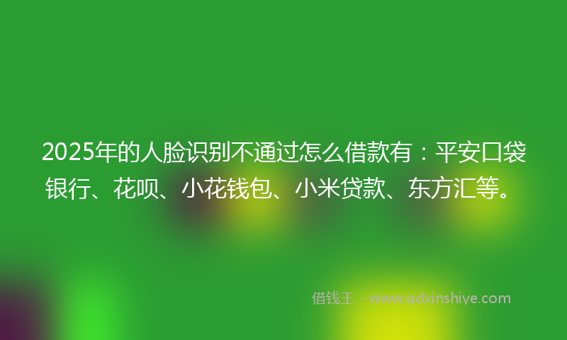 2025年的人脸识别不通过怎么借款有:平安口袋银行、花呗、小花钱包、小米贷款、东方汇等。