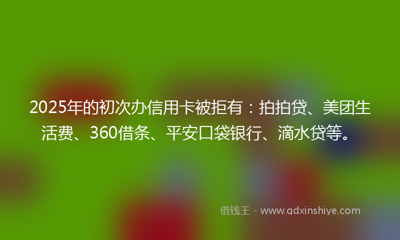 2025年的初次办信用卡被拒有：拍拍贷、美团生活费、360借条、平安口袋银行、滴水贷等。
