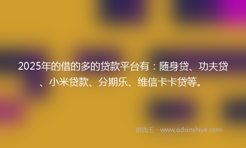 2025年的借的多的贷款平台有：随身贷、功夫贷、小米贷款、分期乐、维信卡卡贷等。