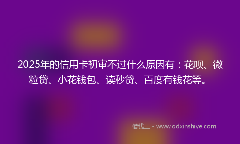 2025年的信用卡初审不过什么原因有：花呗、微粒贷、小花钱包、读秒贷、百度有钱花等。