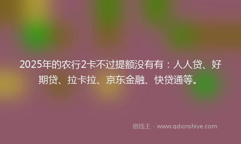2025年的农行2卡不过提额没有有：人人贷、好期贷、拉卡拉、京东金融、快贷通等。