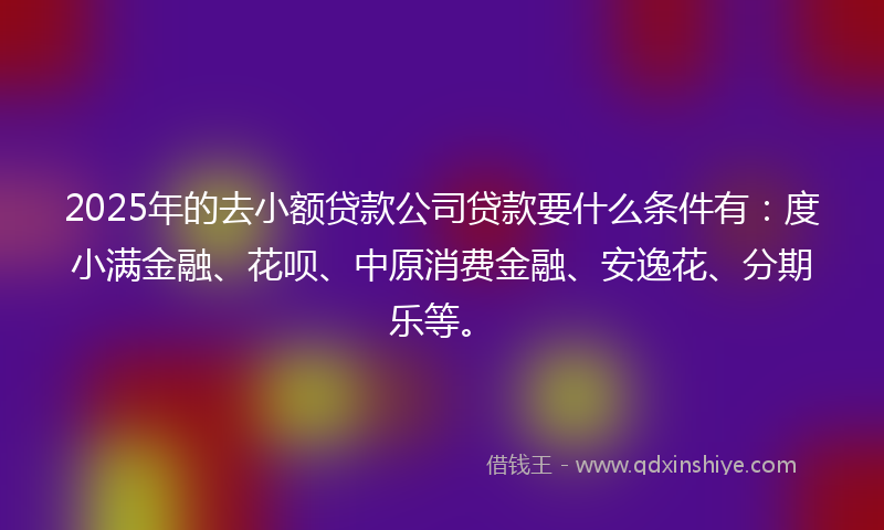 2025年的去小额贷款公司贷款要什么条件有：度小满金融、花呗、中原消费金融、安逸花、分期乐等。
