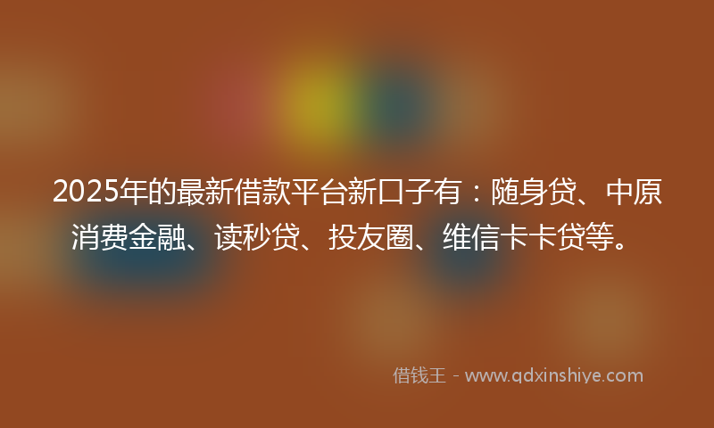 2025年的最新借款平台新口子有：随身贷、中原消费金融、读秒贷、投友圈、维信卡卡贷等。