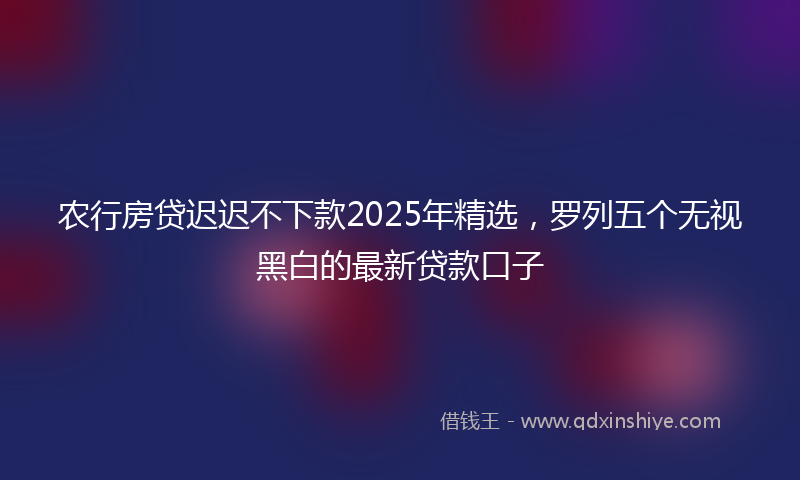 农行房贷迟迟不下款2025年精选，罗列五个无视黑白的最新贷款口子