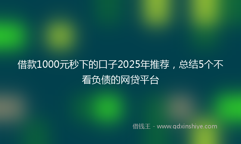 借款1000元秒下的口子2025年推荐，总结5个不看负债的网贷平台