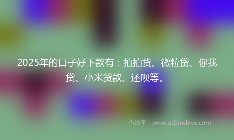 2025年的口子好下款有：拍拍贷、微粒贷、你我贷、小米贷款、还呗等。
