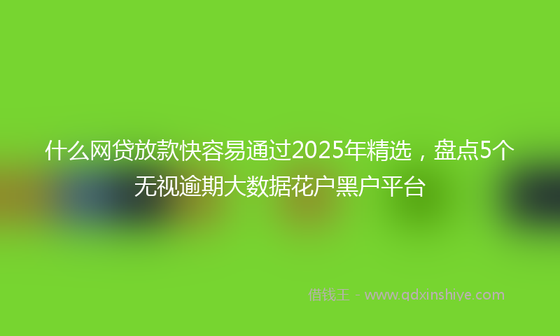 什么网贷放款快容易通过2025年精选，盘点5个无视逾期大数据花户黑户平台