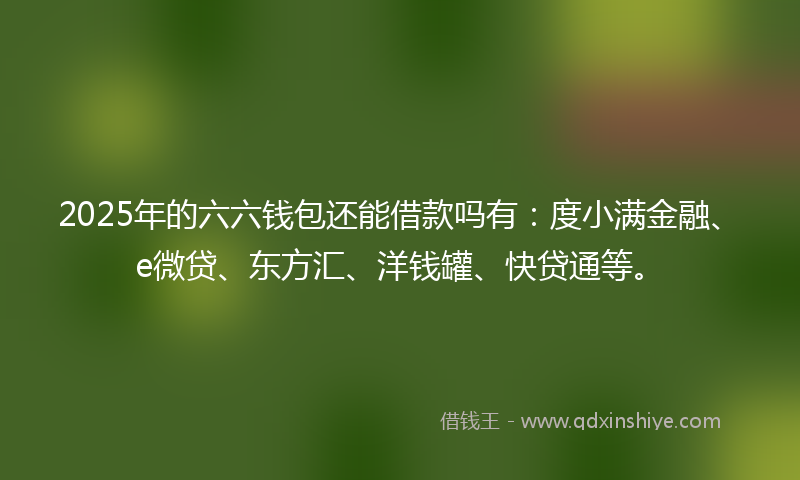 2025年的六六钱包还能借款吗有：度小满金融、e微贷、东方汇、洋钱罐、快贷通等。