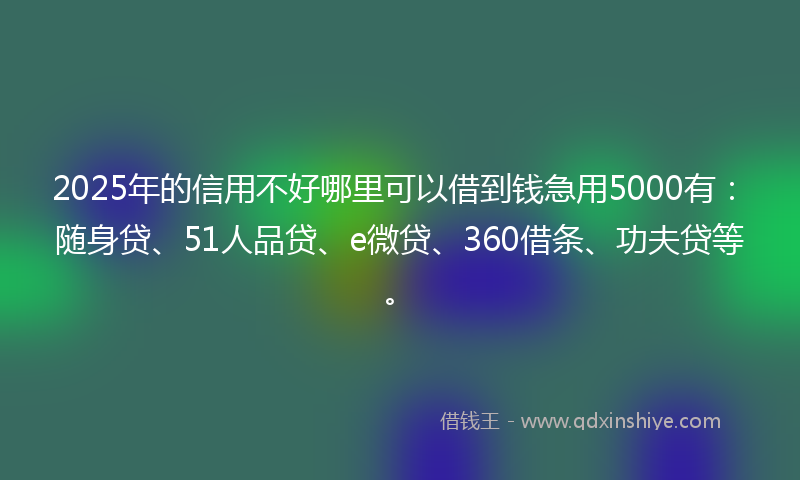 2025年的信用不好哪里可以借到钱急用5000有：随身贷、51人品贷、e微贷、360借条、功夫贷等。
