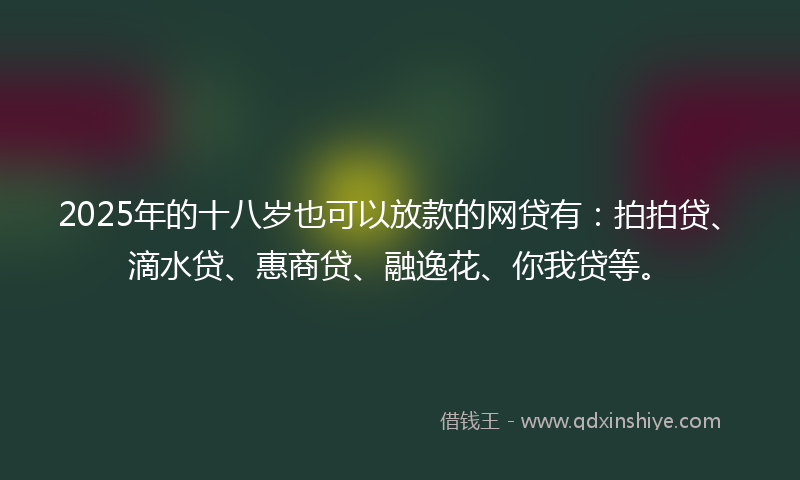 2025年的十八岁也可以放款的网贷有：拍拍贷、滴水贷、惠商贷、融逸花、你我贷等。
