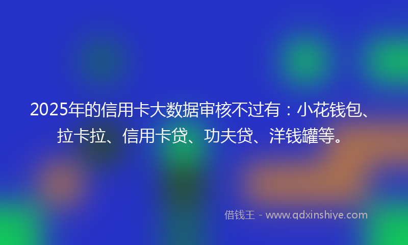 2025年的信用卡大数据审核不过有：小花钱包、拉卡拉、信用卡贷、功夫贷、洋钱罐等。