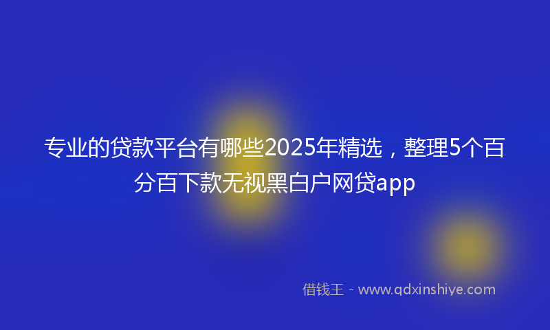 专业的贷款平台有哪些2025年精选，整理5个百分百下款无视黑白户网贷app
