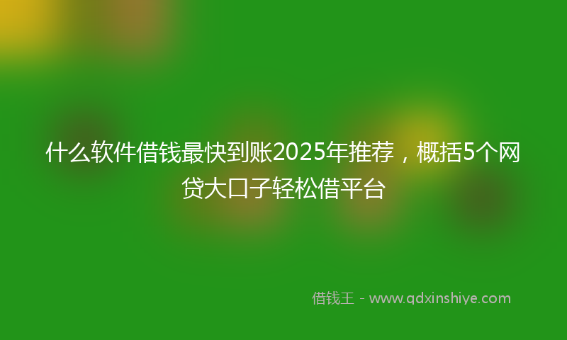 什么软件借钱最快到账2025年推荐，概括5个网贷大口子轻松借平台