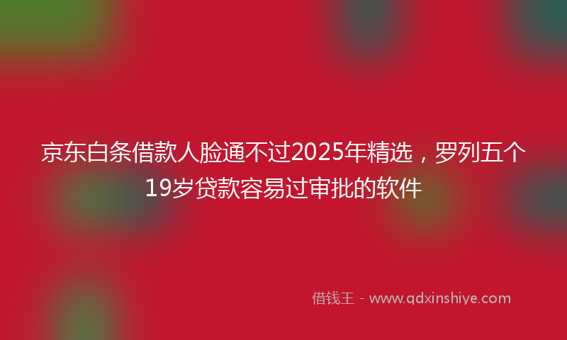 京东白条借款人脸通不过2025年精选，罗列五个19岁贷款容易过审批的软件