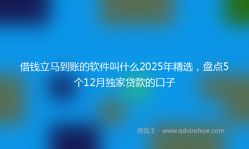借钱立马到账的软件叫什么2025年精选，盘点5个12月独家贷款的口子