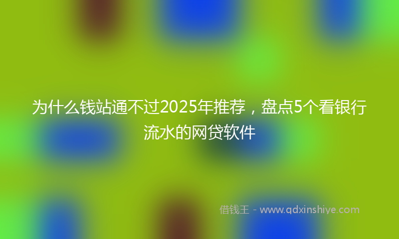 为什么钱站通不过2025年推荐，盘点5个看银行流水的网贷软件