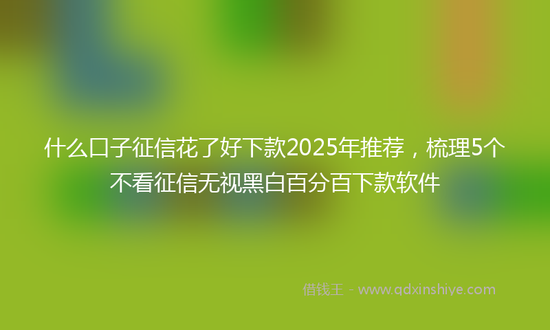 什么口子征信花了好下款2025年推荐，梳理5个不看征信无视黑白百分百下款软件