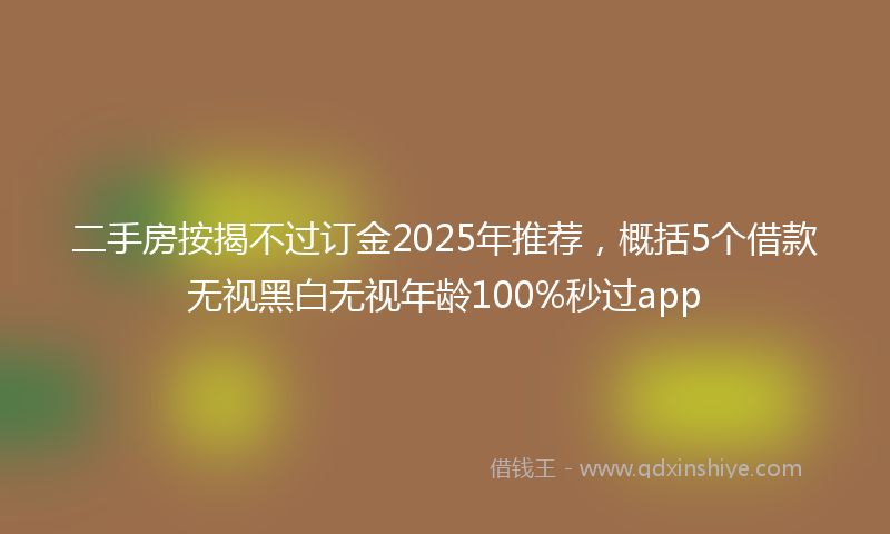 二手房按揭不过订金2025年推荐，概括5个借款无视黑白无视年龄100%秒过app