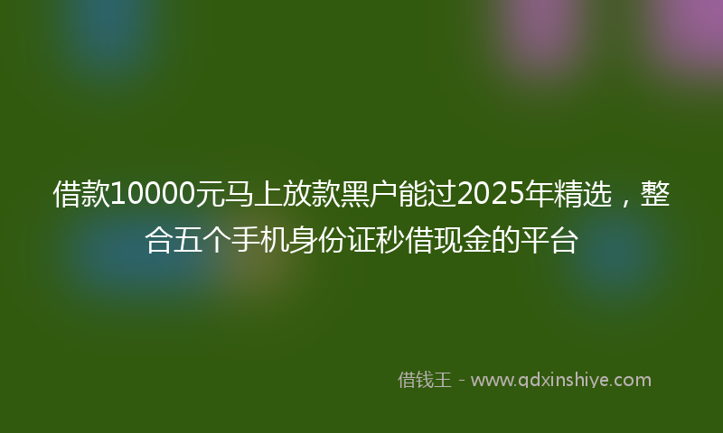 借款10000元马上放款黑户能过2025年精选，整合五个手机身份证秒借现金的平台