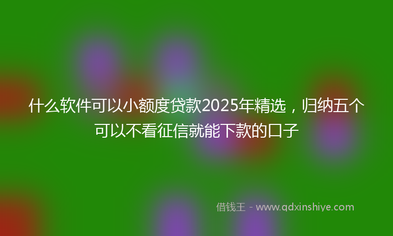 什么软件可以小额度贷款2025年精选，归纳五个可以不看征信就能下款的口子