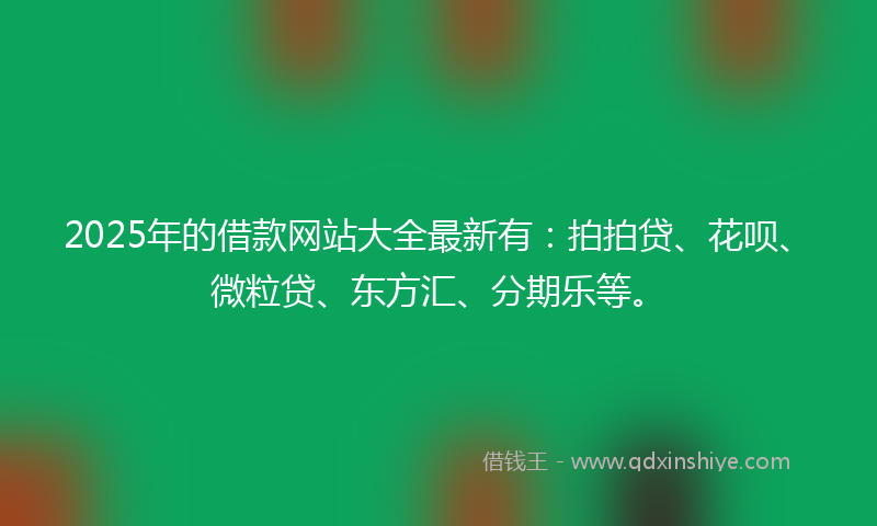 2025年的借款网站大全最新有：拍拍贷、花呗、微粒贷、东方汇、分期乐等。