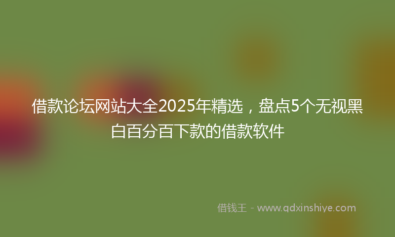 借款论坛网站大全2025年精选，盘点5个无视黑白百分百下款的借款软件