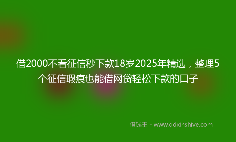 借2000不看征信秒下款18岁2025年精选，整理5个征信瑕疵也能借网贷轻松下款的口子