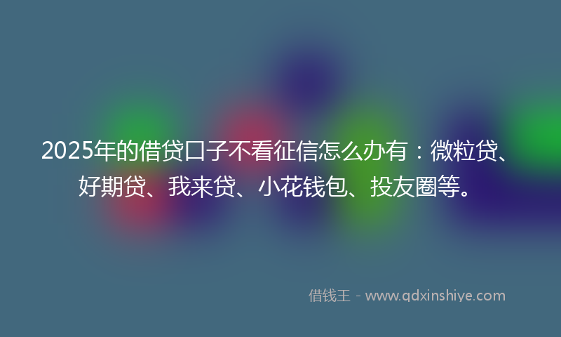 2025年的借贷口子不看征信怎么办有：微粒贷、好期贷、我来贷、小花钱包、投友圈等。