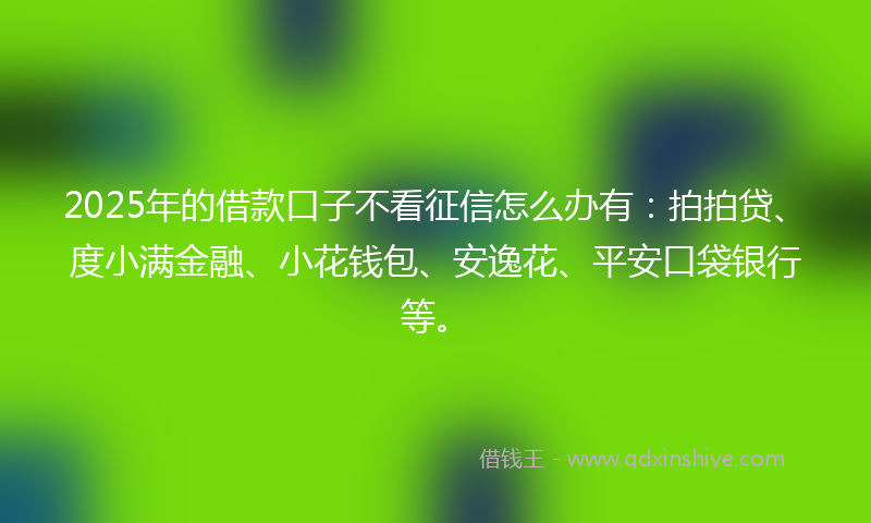 2025年的借款口子不看征信怎么办有：拍拍贷、度小满金融、小花钱包、安逸花、平安口袋银行等。