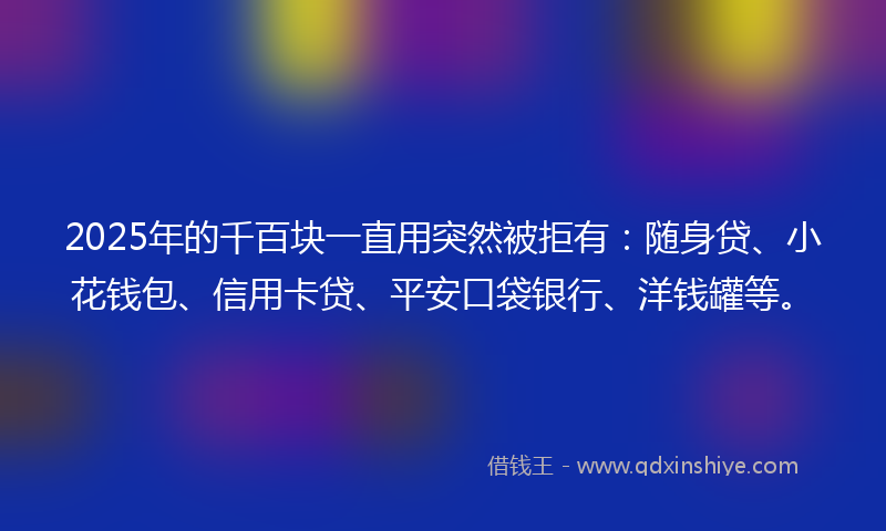 2025年的千百块一直用突然被拒有：随身贷、小花钱包、信用卡贷、平安口袋银行、洋钱罐等。
