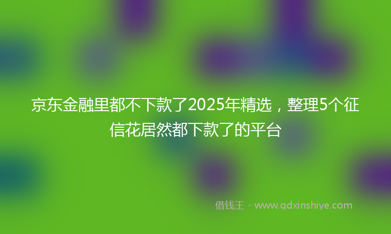 京东金融里都不下款了2025年精选，整理5个征信花居然都下款了的平台