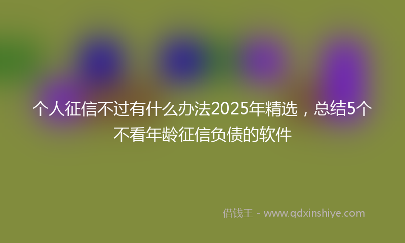 个人征信不过有什么办法2025年精选，总结5个不看年龄征信负债的软件