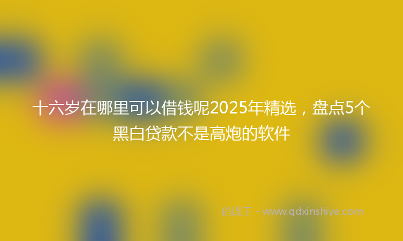 十六岁在哪里可以借钱呢2025年精选，盘点5个黑白贷款不是高炮的软件