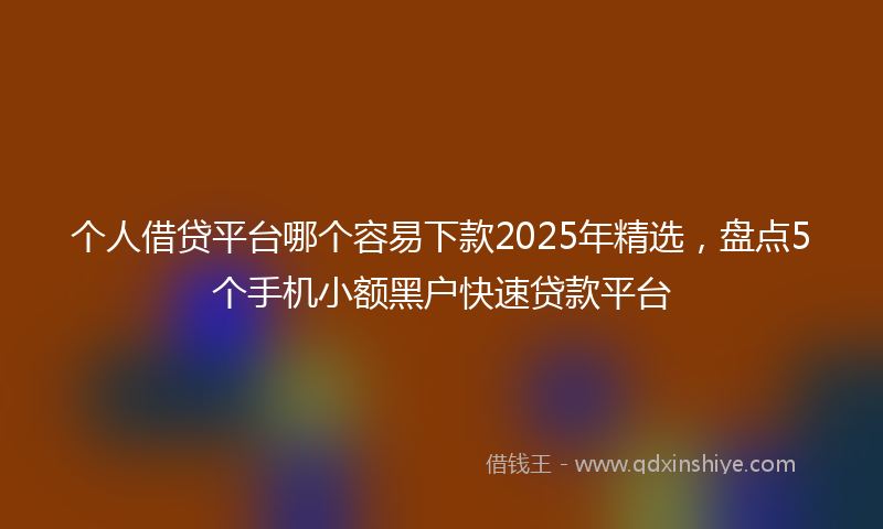 个人借贷平台哪个容易下款2025年精选,盘点5个手机小额黑户快速贷款平台