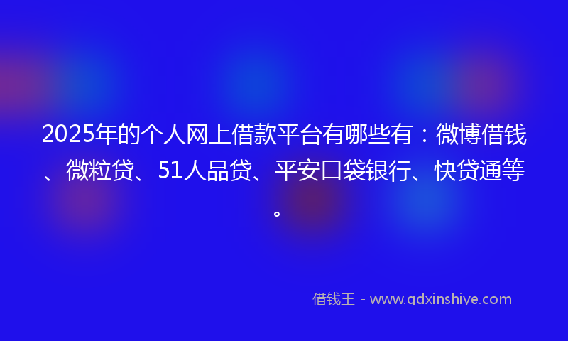 2025年的个人网上借款平台有哪些有：微博借钱、微粒贷、51人品贷、平安口袋银行、快贷通等。