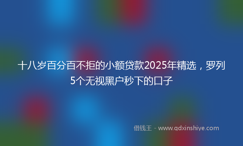 十八岁百分百不拒的小额贷款2025年精选，罗列5个无视黑户秒下的口子