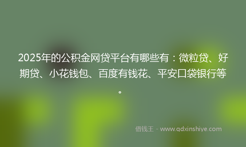 2025年的公积金网贷平台有哪些有：微粒贷、好期贷、小花钱包、百度有钱花、平安口袋银行等。