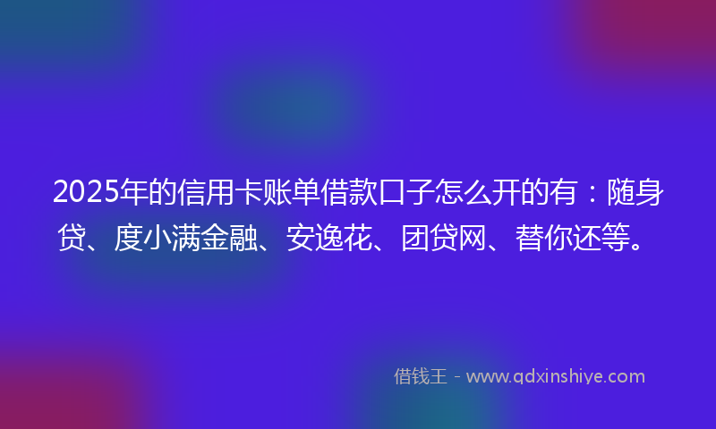 2025年的信用卡账单借款口子怎么开的有：随身贷、度小满金融、安逸花、团贷网、替你还等。