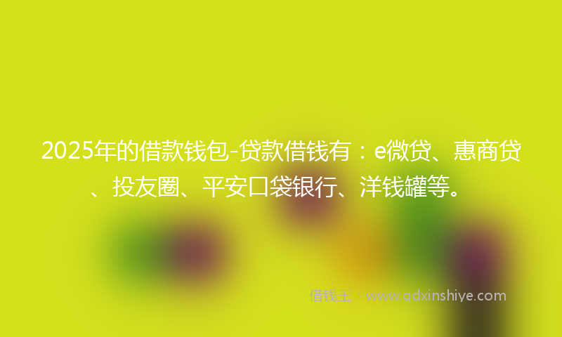 2025年的借款钱包-贷款借钱有：e微贷、惠商贷、投友圈、平安口袋银行、洋钱罐等。
