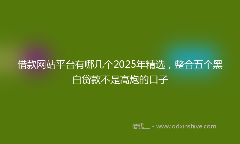 借款网站平台有哪几个2025年精选，整合五个黑白贷款不是高炮的口子